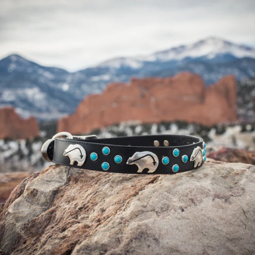 black_leather_turquoise_dog_collar_1024x1024@2x
